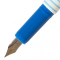 Snowhite  白雪钢笔   FP-5050X1/FP-5050AX1/Q-12X1    蓝墨水热合吊卡钢笔组合